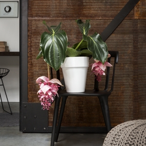 boxspring-hoofdbord-rubato-zachtenbasic-casa67-detail06-LR